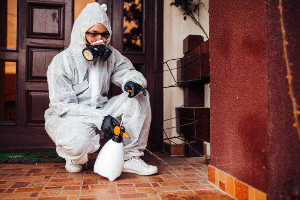 Reliable Cockroach Control contractor in Flemington, NJ by Nex Pest Control